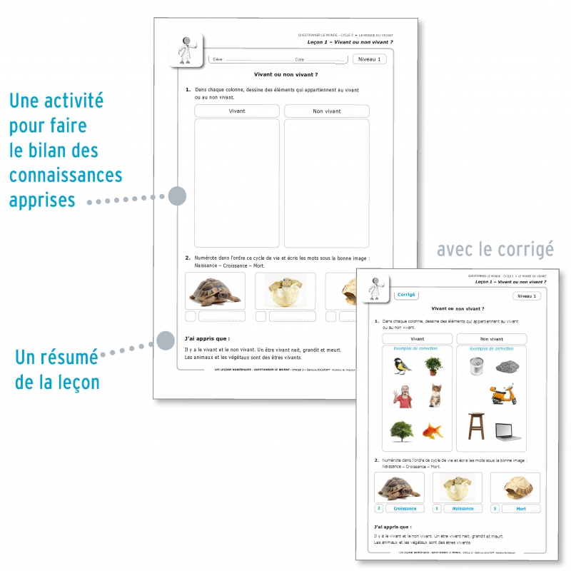 Questionner Le Monde Cycle 2 Pdf Gratuit Les Leçons Numériques Questionner le monde • Cycle 2
