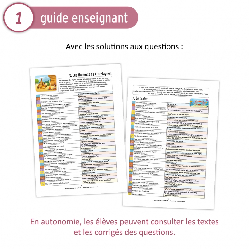 Au cœur du texte • CE • Niveau 2