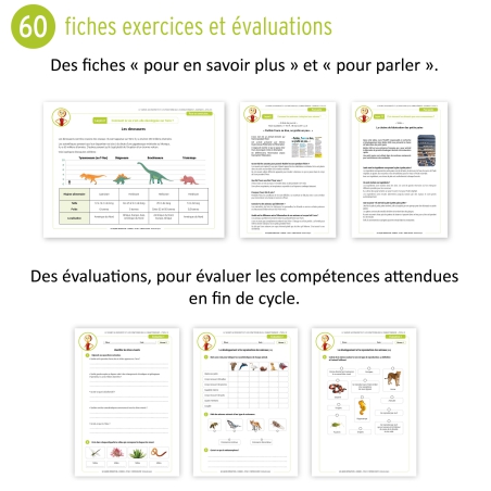 Sciences 2 • Les Leçons Interactives • Cycle 3 Sciences 2 • Les Leçons Interactives • Cycle 3