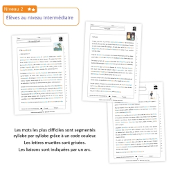 Ateliers de lecture différenciée - Cycle 3