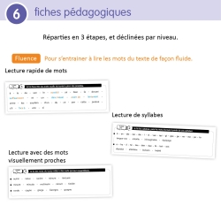 Ateliers de lecture différenciée - Cycle 3