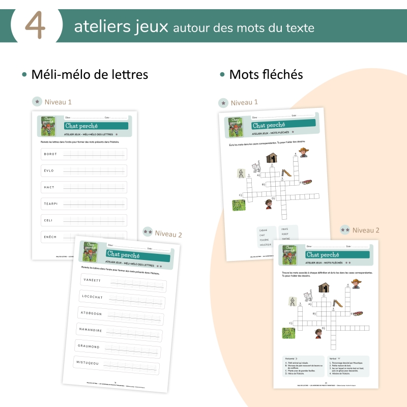 Les aventures de Pirate et Moustique - Niveau 2 - Fichier pédagogique