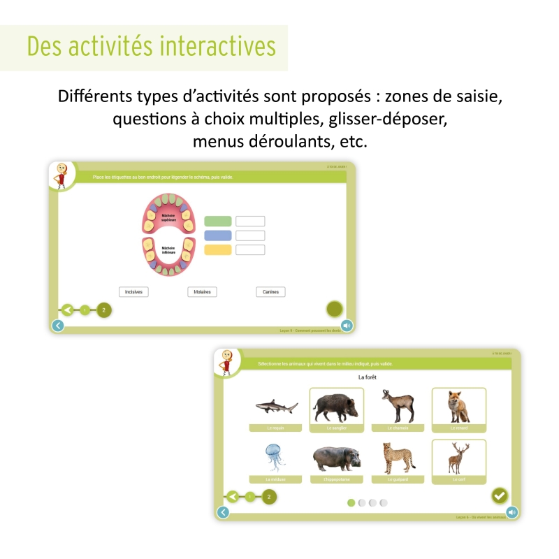 Les leçons interactives de sciences – CP – Ressources pour enseigner les sciences