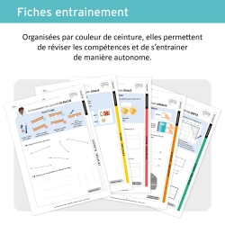 Classeur géométrie & mesures pour la classe de CE1